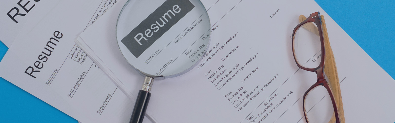 Job Hunting 101: Find Your Perfect Job