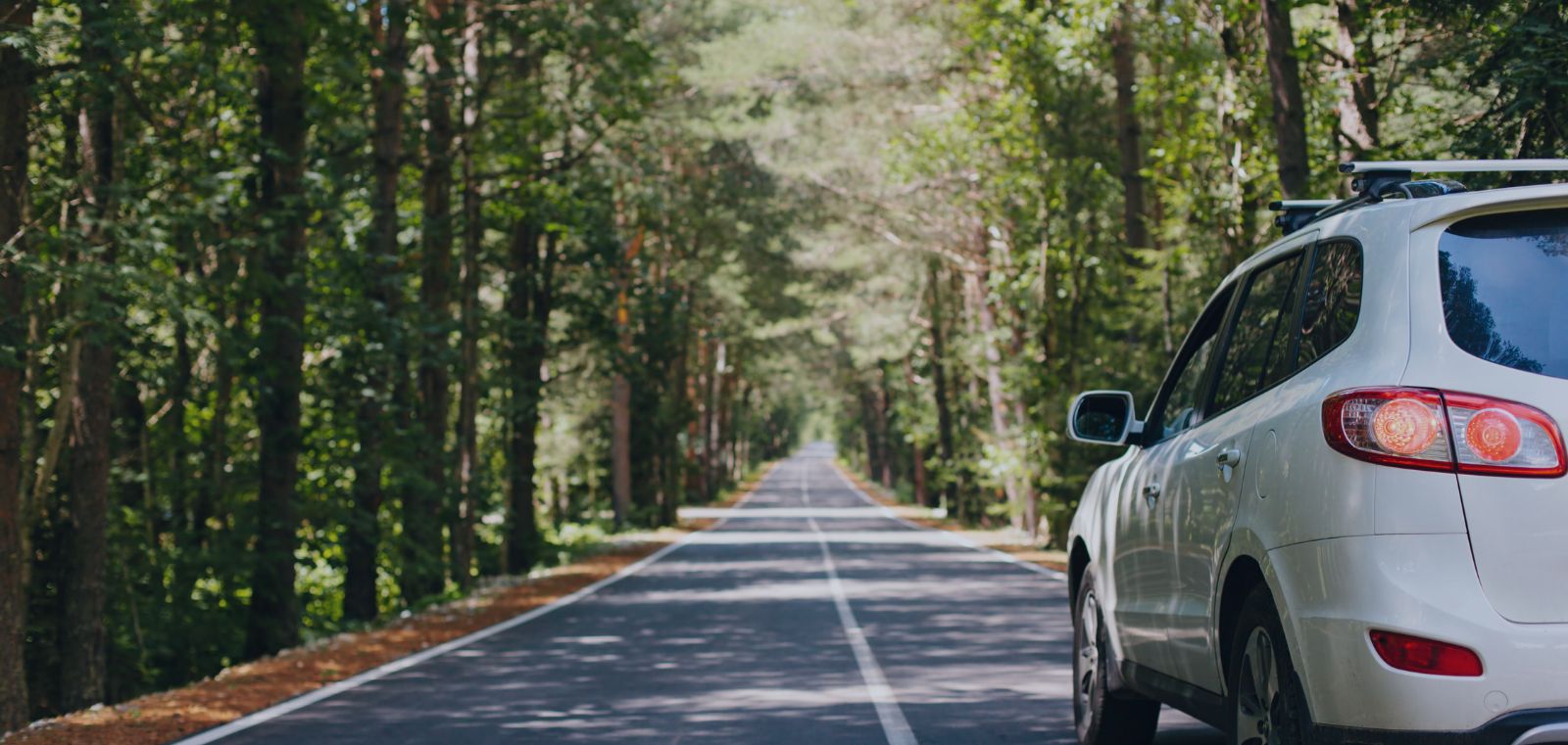 Drive Your Loan in the Right Direction