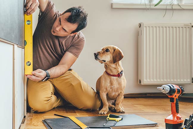 Man renovating wall with dog beside him.